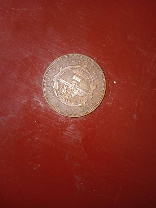 1894 South African penny.