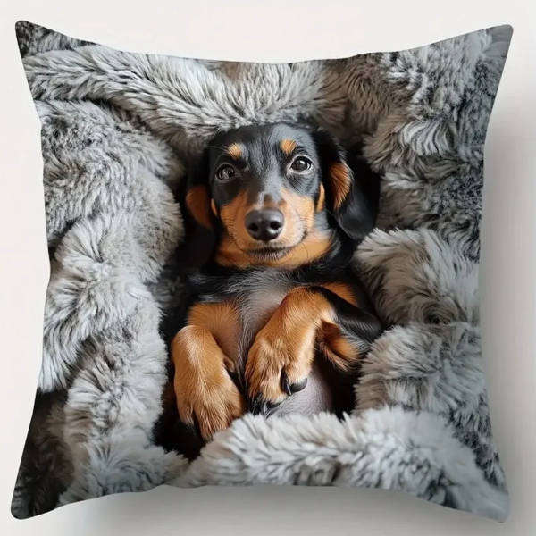 Dachshund Scatter Cushion Covers | Set of 4 | 45x45cm Dog Lover Home Décor