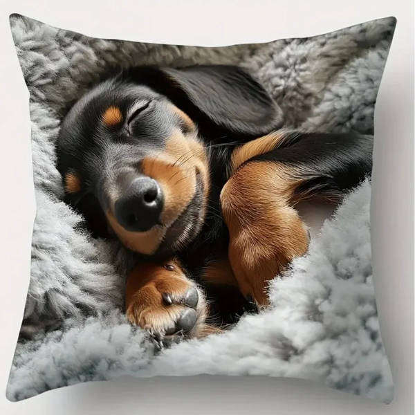 Dachshund Scatter Cushion Covers | Set of 4 | 45x45cm Dog Lover Home Décor