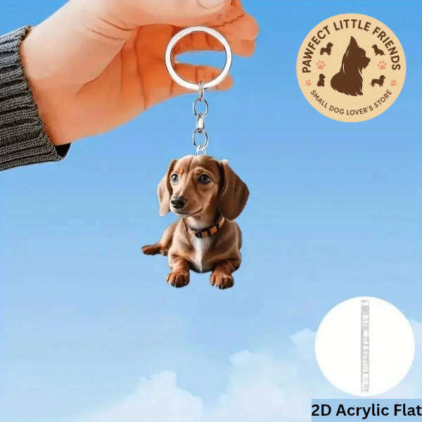 Dachshund Dog Keychain - Double Sided Acrylic | Cute Gift for Pet Lovers