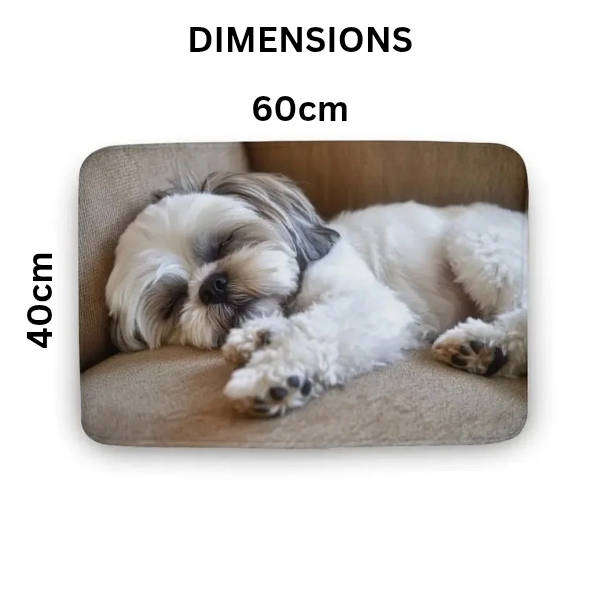 Cute Shih Tzu Doormat | Skid-Proof, Memory Foam, Machine Washable (40x60cm)