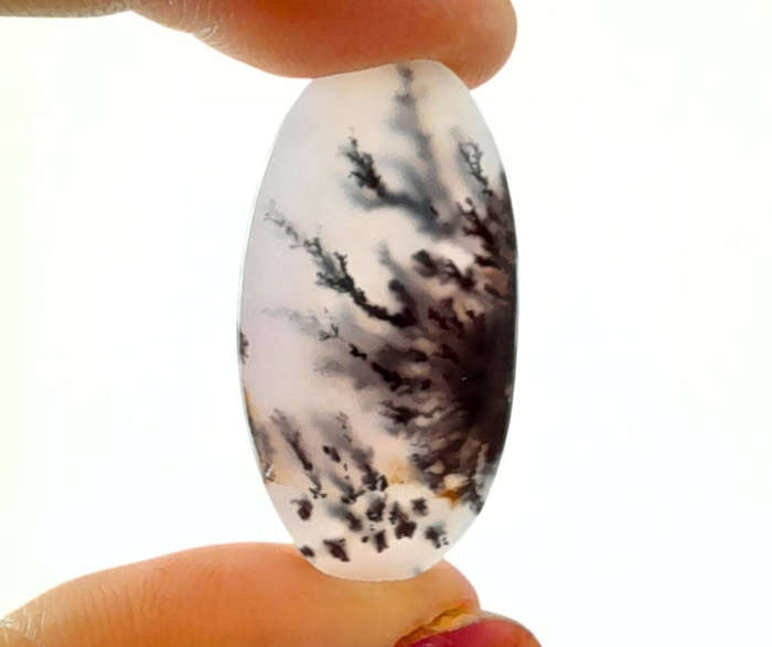 Dendritic Agate