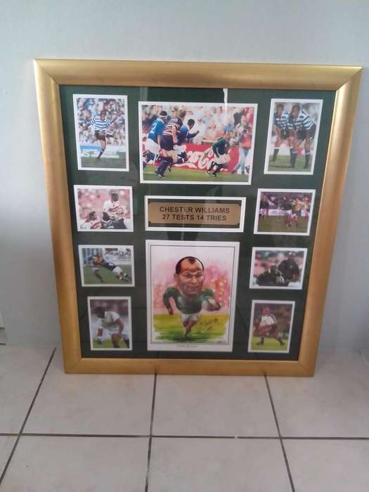 Chester Williams  Framed Rugby Tribute (27 Tests / 14 Tries) Springbok Legend