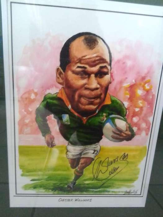 Chester Williams  Framed Rugby Tribute (27 Tests / 14 Tries) Springbok Legend