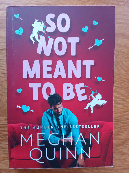 So not meant to be - Meghan Quinn