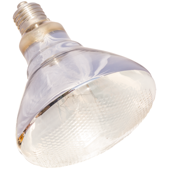 Be-Rays UVB Mercury Vapour 80 Watt Lamp