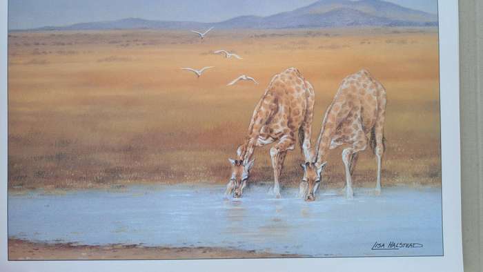 Lisa Halstead Limited Print set x10