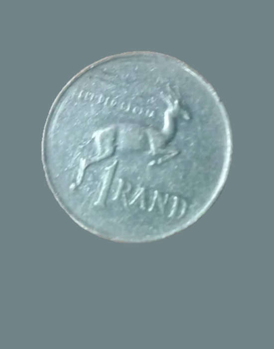 1983 SOUTH AFRICAN R1