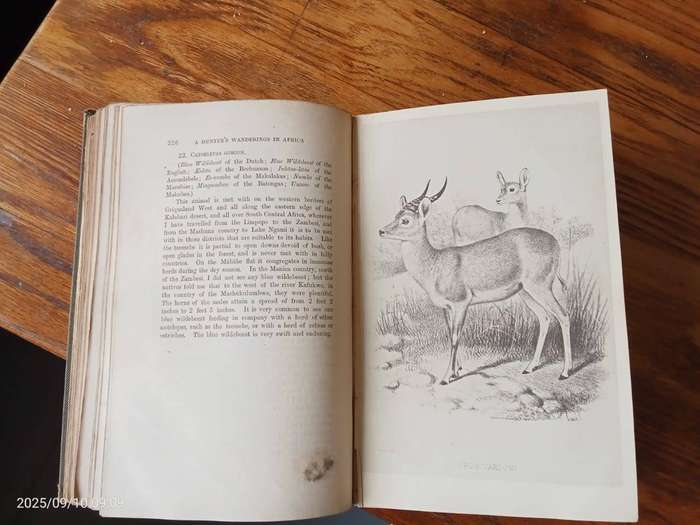 A Hunters Wanderings in Africa by F. C. Selous (Third Edition, 1893)