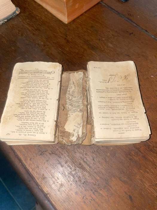 Antique Dutch Pocket Hymn Book & Family Bible  1893