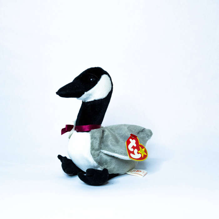 TY Beanie - Loosy (the Canadian Goose)