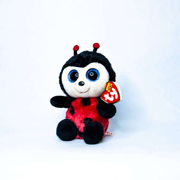 TY Beanie - Izzy (the Ladybug)