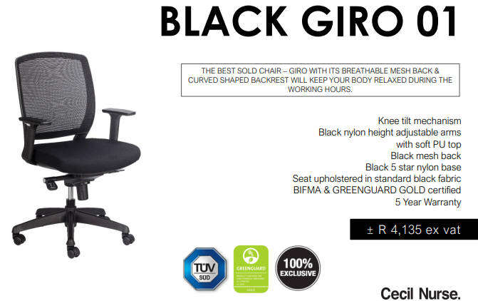 Ergonomic Desk Chair
