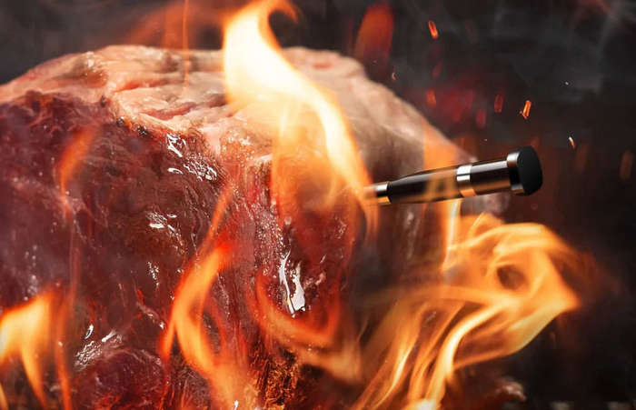 Typhur Sync One - wireless meat thermometer
