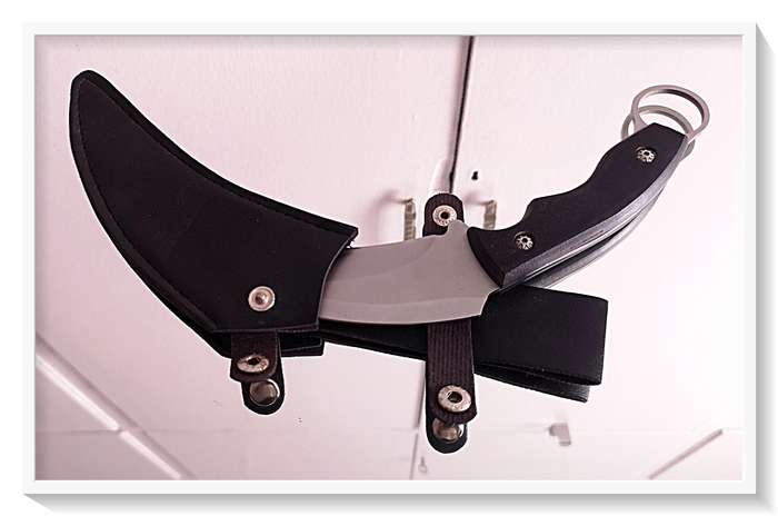 A Bad Ass Fixed Double Edge Curved Steel Blade GERBER Tactical Knife with Pouch - Claw Knife NEW