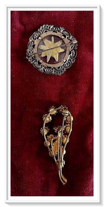 Sewe Jaartjie Pressed Flower Vintage Brooch Plus Old Flower Themed Rhinestone Brooch ***