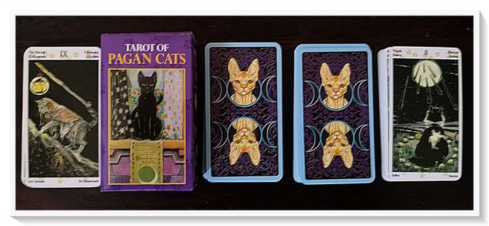 TAROT of PAGAN CATS - A Whimsical Collection of Feline Cards Gorgeous Variations - Condition: New