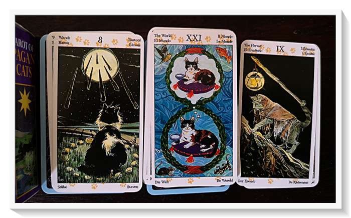 TAROT of PAGAN CATS - A Whimsical Collection of Feline Cards Gorgeous Variations - Condition: New