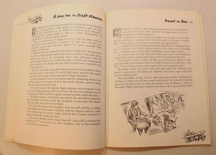 An Airman Looks Back by Ray Pike Softcover Book