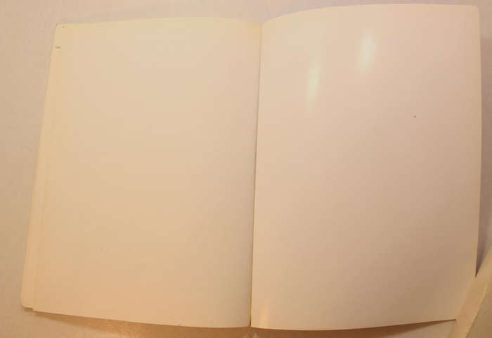 An Airman Looks Back by Ray Pike Softcover Book