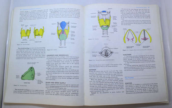 Foundations Of Anatomy & Physiology by Ross & Wilson Softcover Book