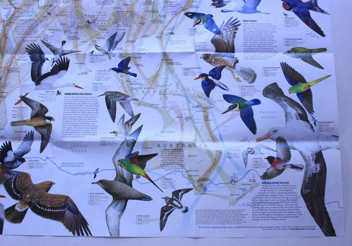 National Geographic Folded Map Bird Migration Eastern and Western Hemispheres, April 2004