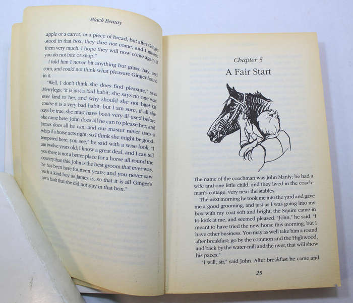 Black Beauty by Anna Sewell Softcover Book