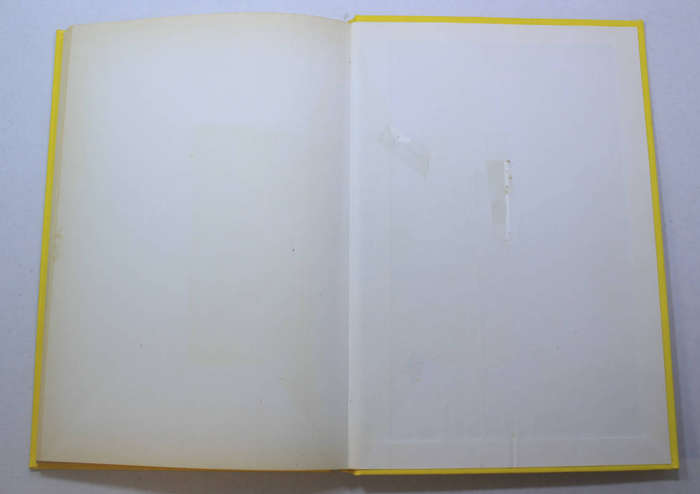 Contemporary Social Pathology by Colin M Rip Hardcover Book