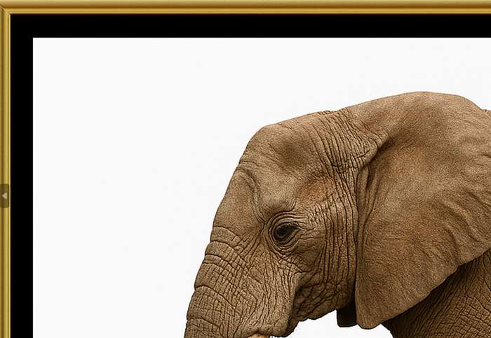 Elephant Side View Digital Download Image For Printing and Framing