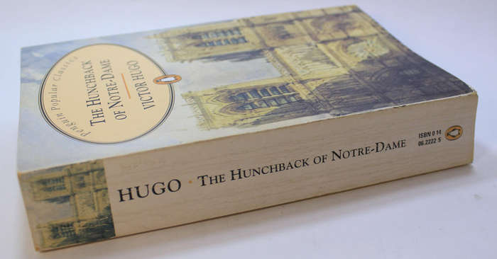 The Hunchback Of Notre-Dame by Victor Hugo Softcover Book