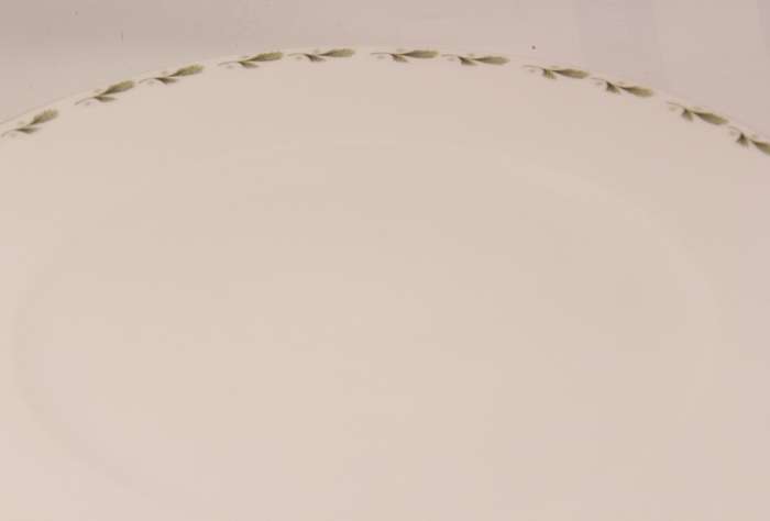 Mayfair Pair of Bone China Dinner Plates, Platinum Trim Edging