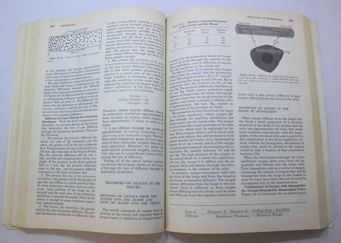 Physiology Of The Human Body by Arthur C Guyton Softcover Book
