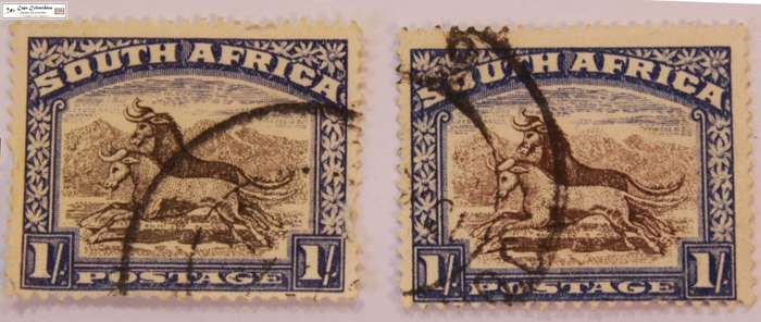 South Africa 2 x 1 Shilling 1952 Wildebeest Stamps English (Scott 62)