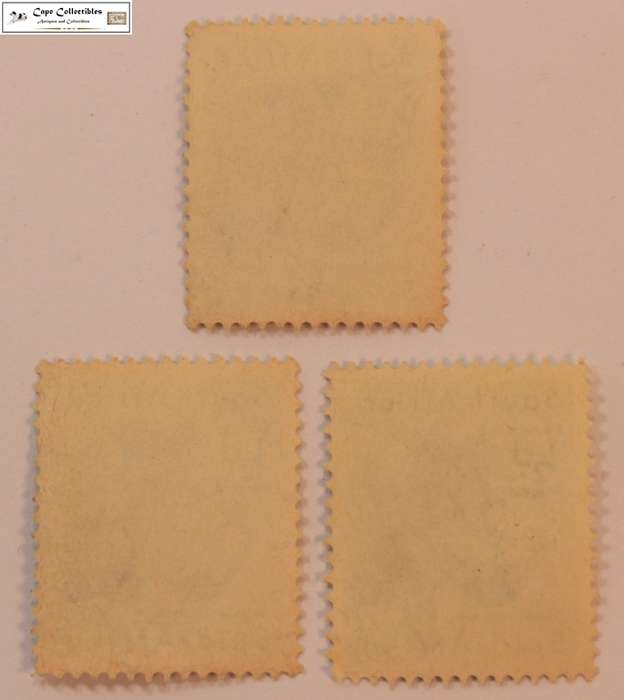 South Africa 3 x 1/2 Pence 1954 Warthog Stamps (Scott 221)