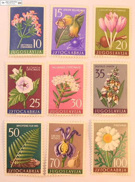 Yugoslavia 9 x 1957 Medicinal Plant Series 10 Dinar to 100 Dinar Stamps (Scott 469-477)