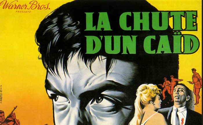 Vintage Film Noir The Rise And Fall of Legs Diamond France Poster Digital Download