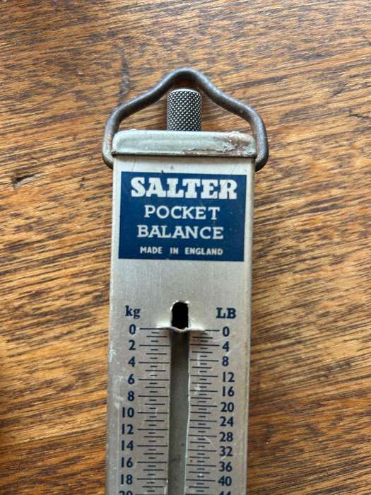Salter vintage scale