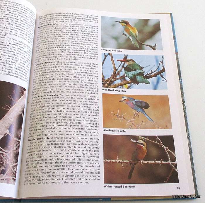 EVERONE'S GUIDE TO SOUTH AFRICAN BIRDS