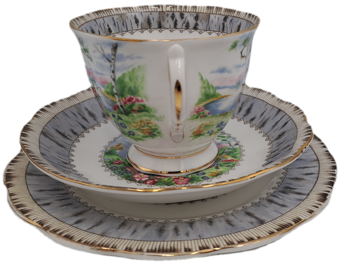 Vintage Royal Albert SILVER BIRCH Tea Trio Bone China England (Cup Has a Hairline Crack)