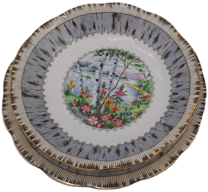 Vintage Royal Albert SILVER BIRCH Tea Trio Bone China England (Cup Has a Hairline Crack)