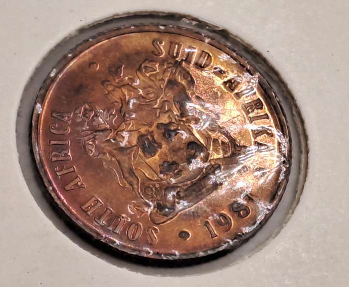 1981 South Africa 2 Cents SOUTH AFRICA - UNcirculated