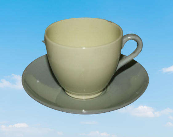 Spode "MEADOW SWEET "Tea pot and 6 Duo's- England- 1 cup is chipped