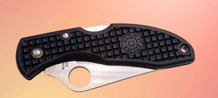 Spyderco Clipit Delica Aus-8 Folding Pocket Knive Seki City Japan