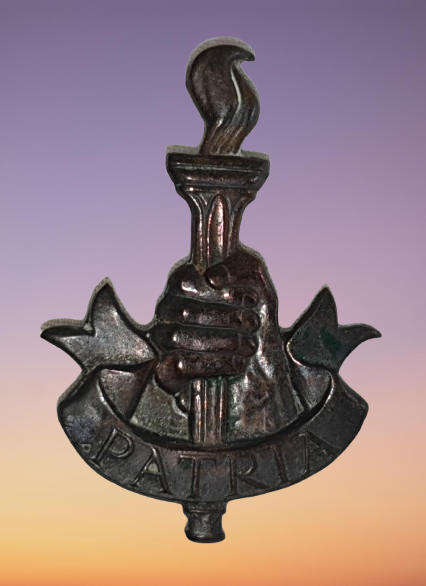 South Africa Patria Badge (34mm X 45mm)
