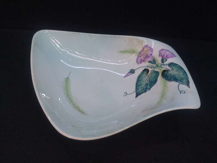 Vintage Carlton Ware Hand painted Austrailian Design
