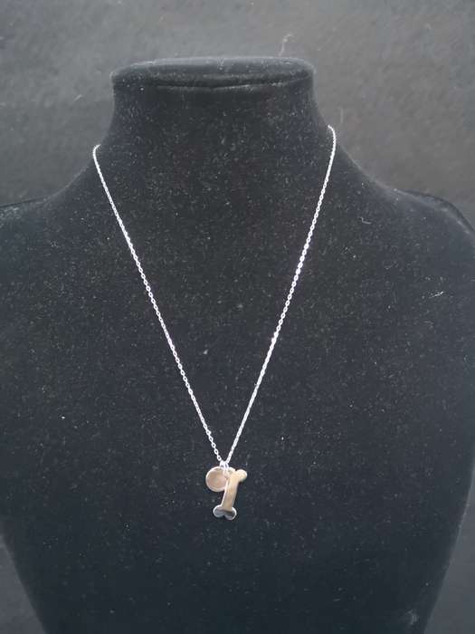925 Silver necklace Paw and Bone