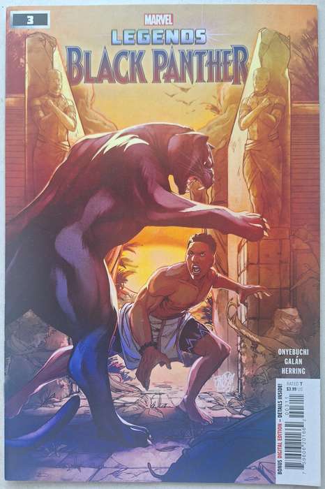 Black Panther Legends #3 (2022)