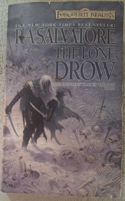 Forgotten Realms: The Lone Drow