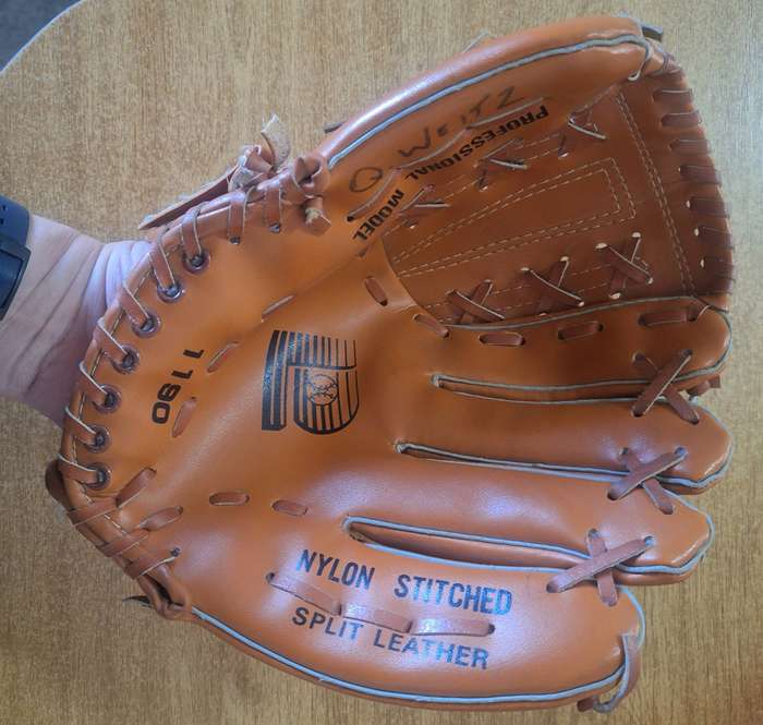 DLUH Baseball glove 1190