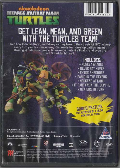 Teenage Mutant Ninja Turtles Enter Shredder